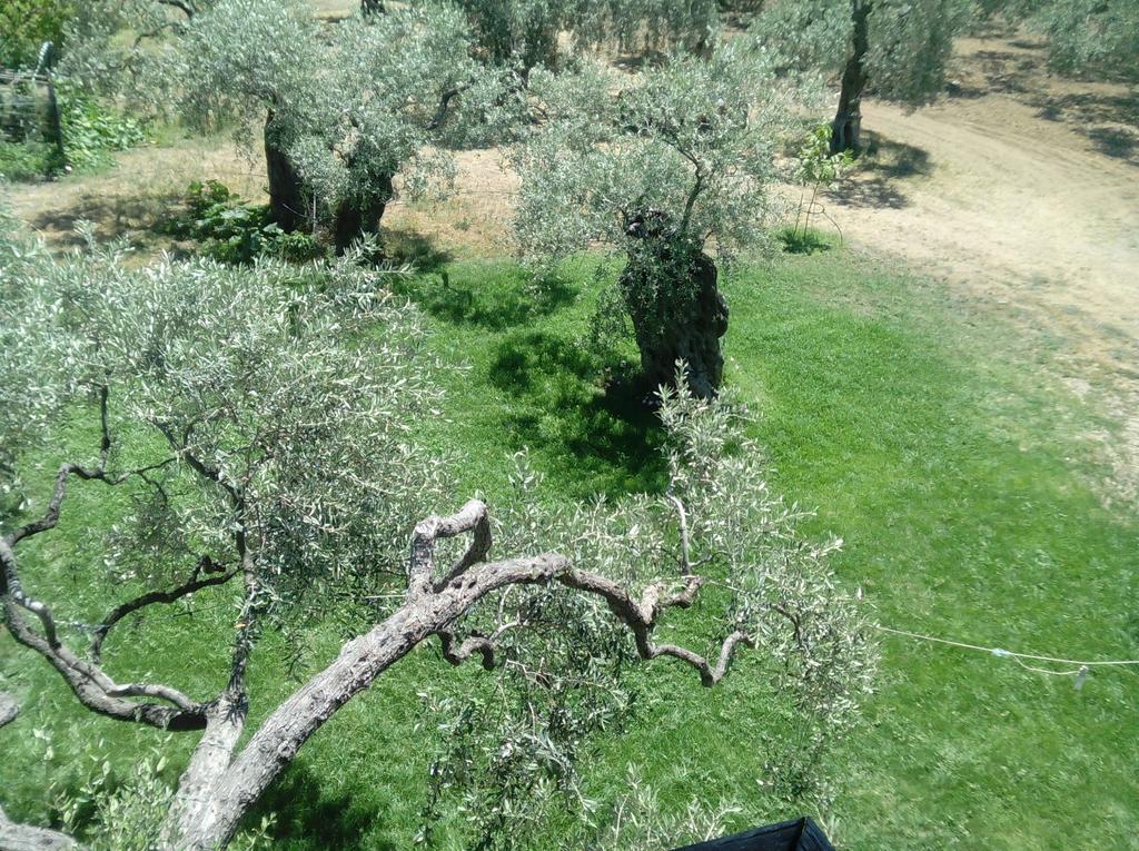 Villa Thomi Skala Rachoni  Exteriör bild