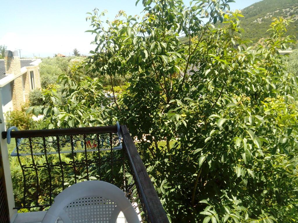 Villa Thomi Skala Rachoni  Exteriör bild