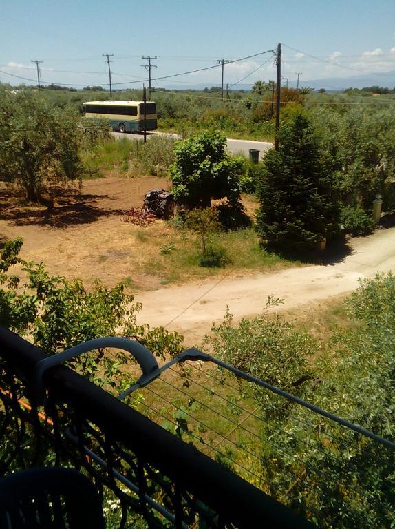 Villa Thomi Skala Rachoni  Exteriör bild