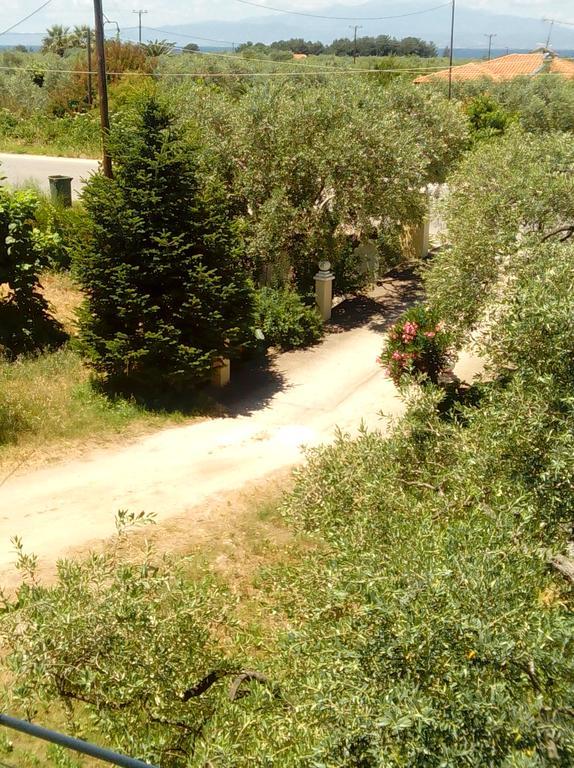 Villa Thomi Skala Rachoni  Exteriör bild